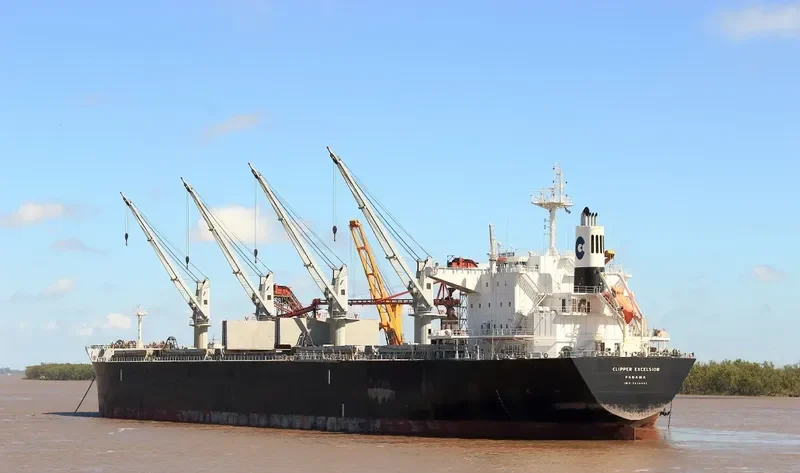 AFRICAN CHEETAH Bulk Carrier IMO 9636462 photo 2