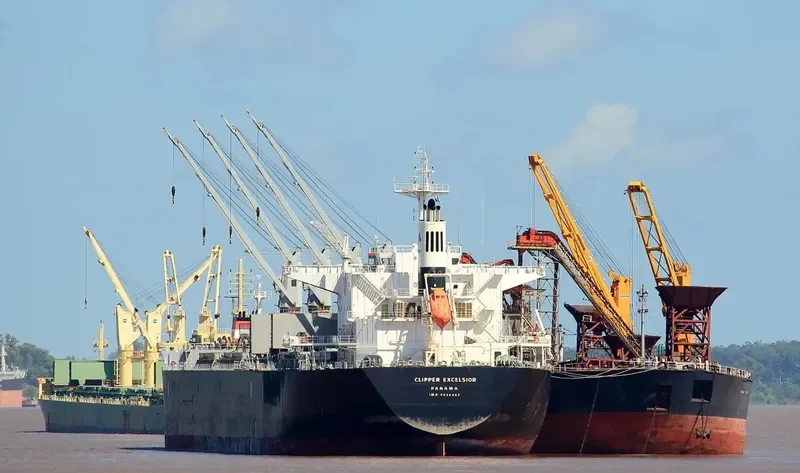 AFRICAN CHEETAH Bulk Carrier IMO 9636462 photo 3