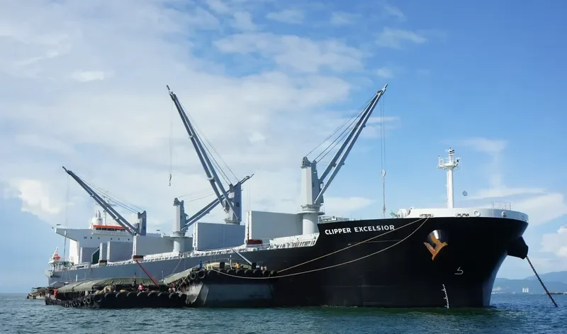 AFRICAN CHEETAH Bulk Carrier IMO 9636462 photo 4