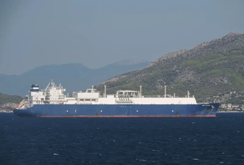COOL VOYAGER General Cargo IMO 9636785 photo 2