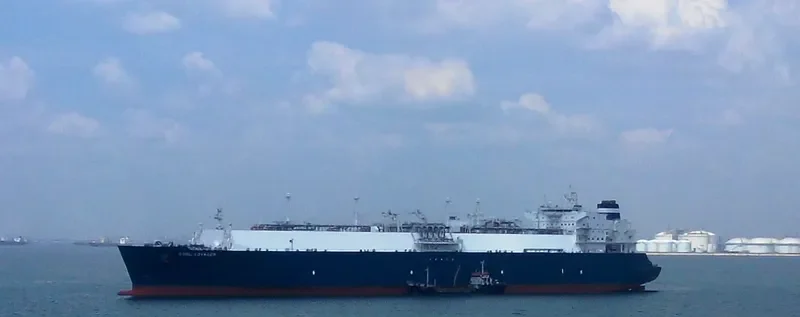 COOL VOYAGER General Cargo IMO 9636785 photo 8