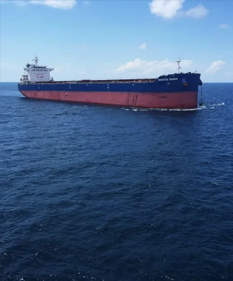 YANGTZE CROWN Bulk Carrier IMO 9636905