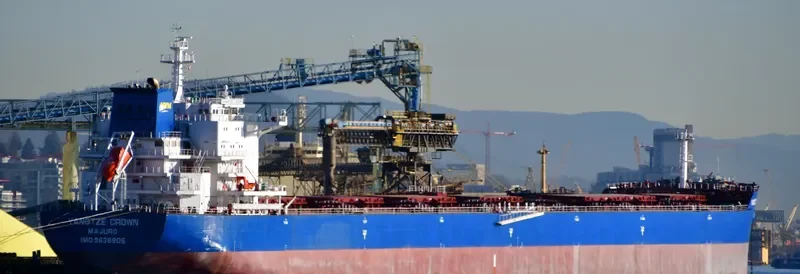 YANGTZE CROWN Bulk Carrier IMO 9636905 photo 3