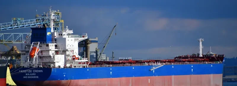 YANGTZE CROWN Bulk Carrier IMO 9636905 photo 4