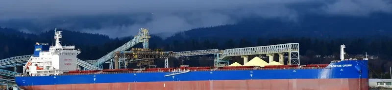 YANGTZE CROWN Bulk Carrier IMO 9636905 photo 5