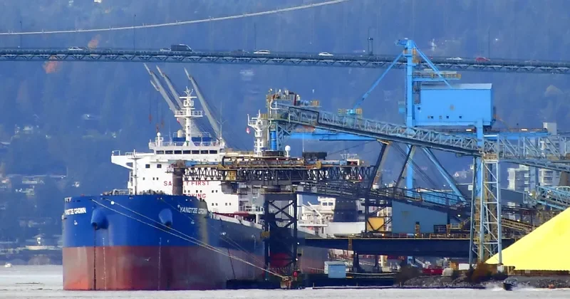 YANGTZE CROWN Bulk Carrier IMO 9636905 photo 6