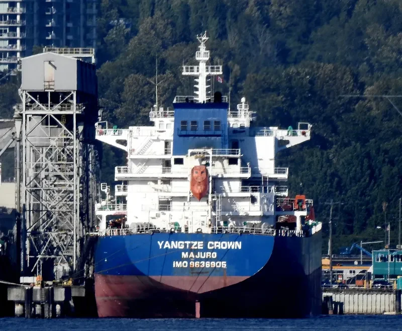 YANGTZE CROWN Bulk Carrier IMO 9636905 photo 8