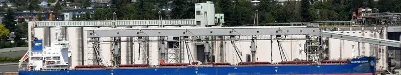YANGTZE CROWN Bulk Carrier IMO 9636905 photo 9