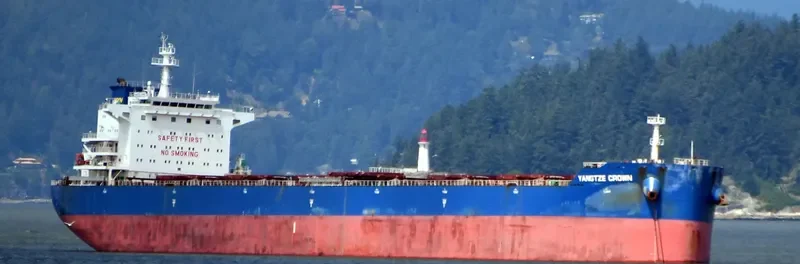 YANGTZE CROWN Bulk Carrier IMO 9636905 photo 10
