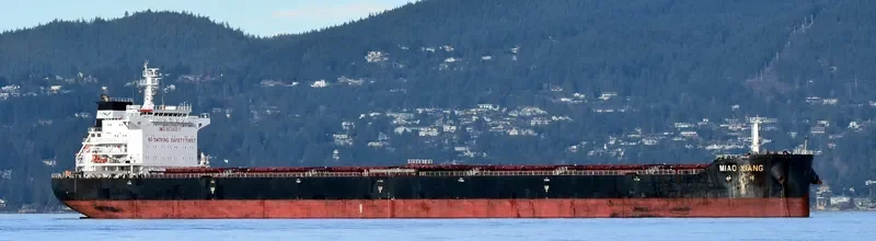 MIAO XIANG Bulk Carrier IMO 9636917 photo 10