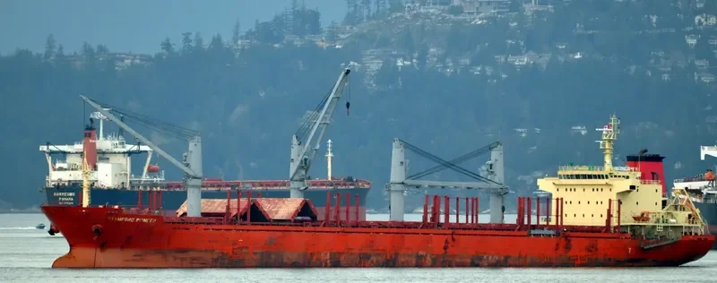 STAMFORD PIONEER Bulk Carrier IMO 9636943 photo 9