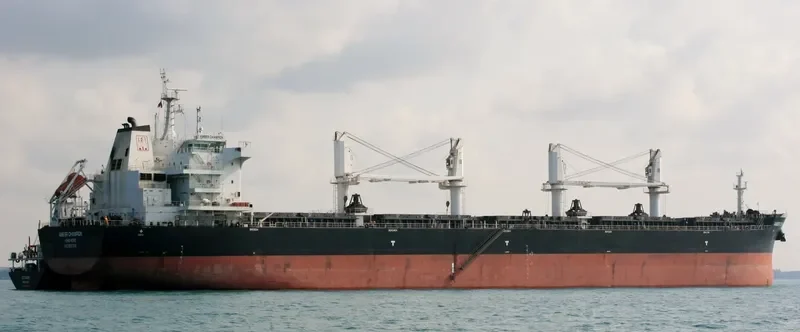 AMBER CHAMPION Bulk Carrier IMO 9637210