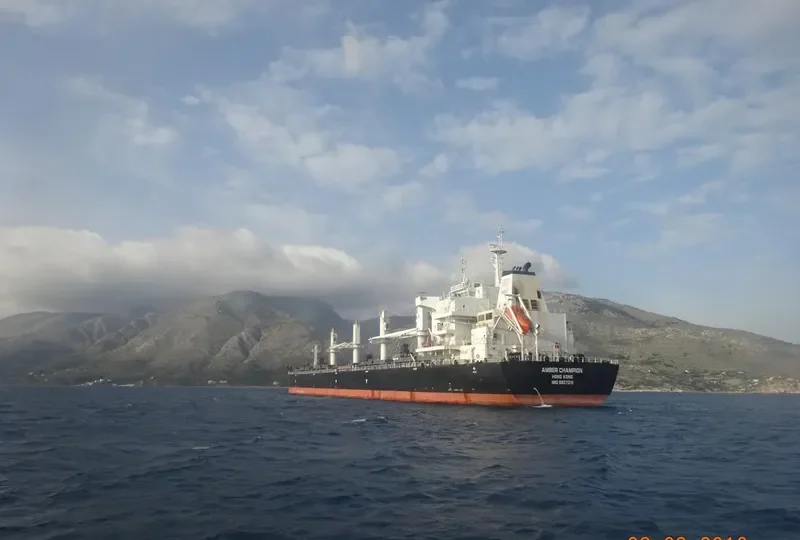 AMBER CHAMPION Bulk Carrier IMO 9637210 photo 2