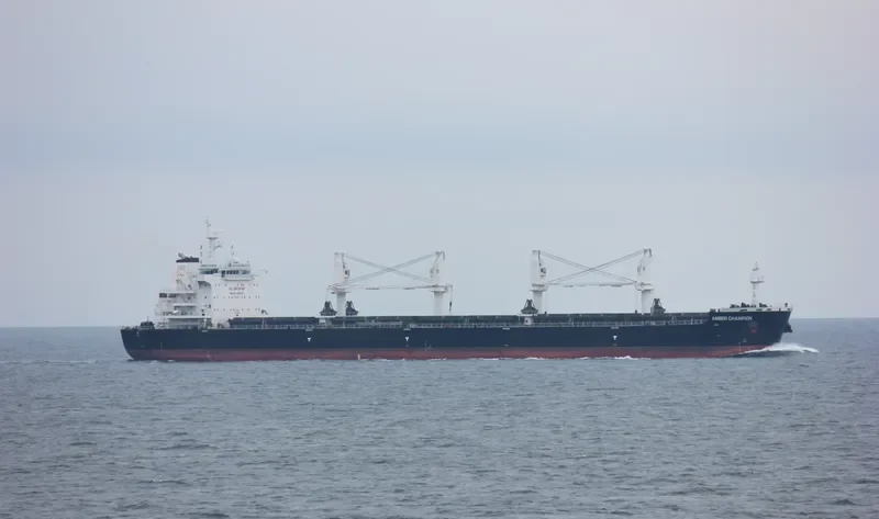 AMBER CHAMPION Bulk Carrier IMO 9637210 photo 3