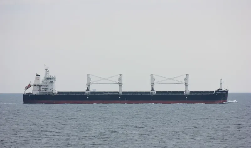 AMBER CHAMPION Bulk Carrier IMO 9637210 photo 4