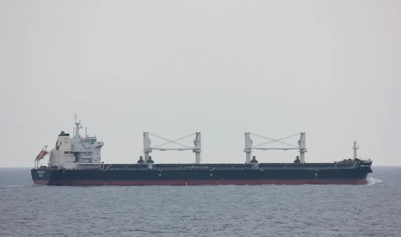 AMBER CHAMPION Bulk Carrier IMO 9637210 photo 5