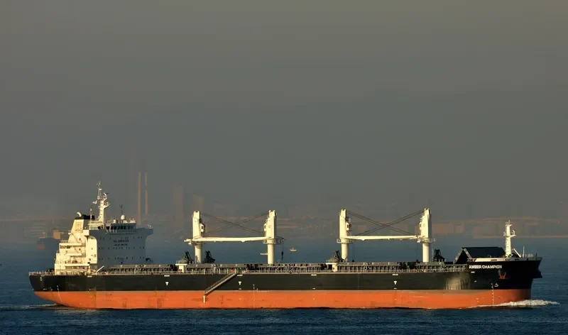 AMBER CHAMPION Bulk Carrier IMO 9637210 photo 6