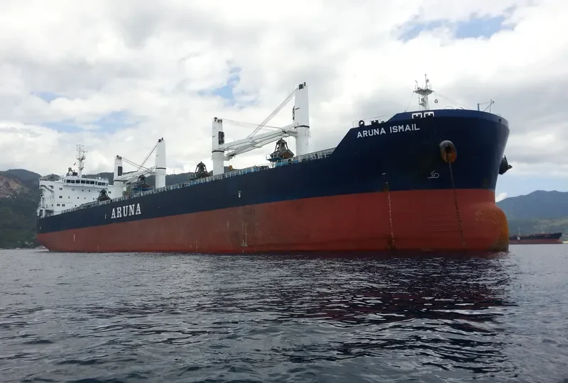 ARUNA ISMAIL Bulk Carrier IMO 9637296 photo 3