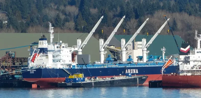 ARUNA ISMAIL Bulk Carrier IMO 9637296 photo 5