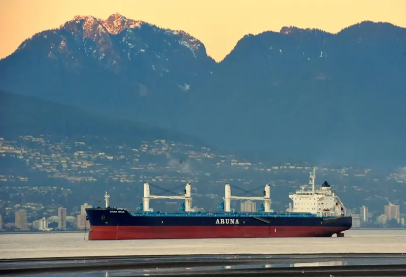 ARUNA ISMAIL Bulk Carrier IMO 9637296 photo 6