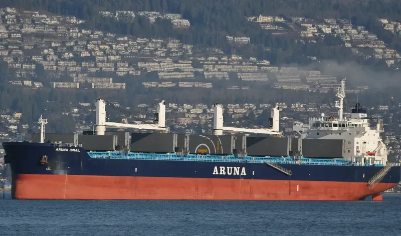 ARUNA ISMAIL Bulk Carrier IMO 9637296 photo 8