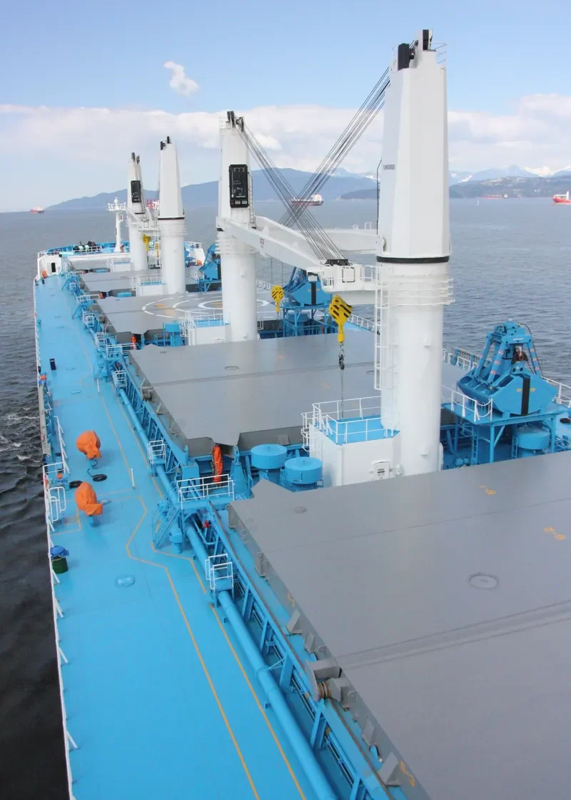 ARUNA ISMAIL Bulk Carrier IMO 9637296 photo 9