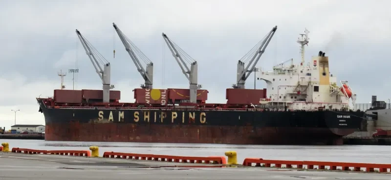 SAM HAWK Bulk Carrier IMO 9637416