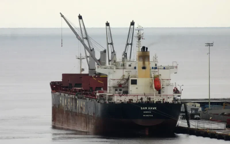 SAM HAWK Bulk Carrier IMO 9637416 photo 2