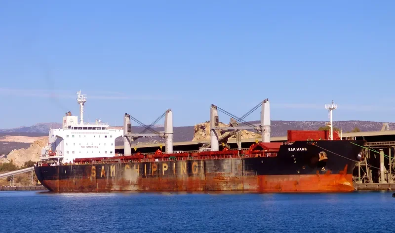 SAM HAWK Bulk Carrier IMO 9637416 photo 3