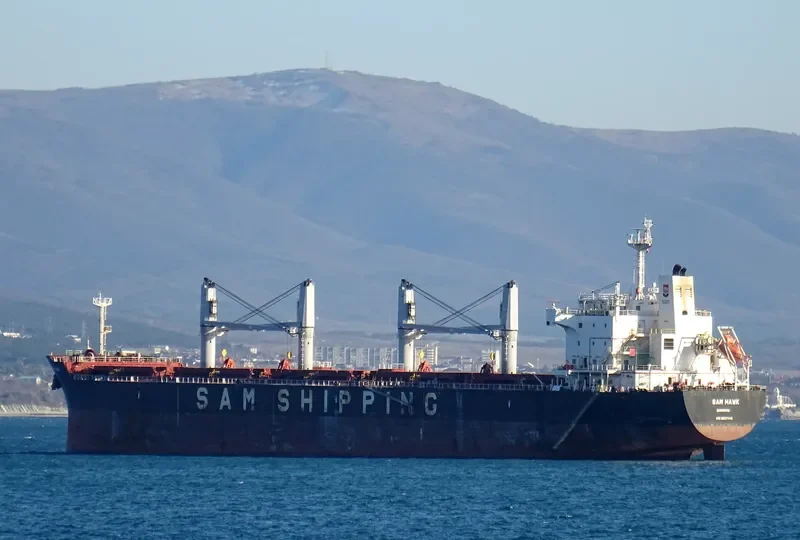 SAM HAWK Bulk Carrier IMO 9637416 photo 5