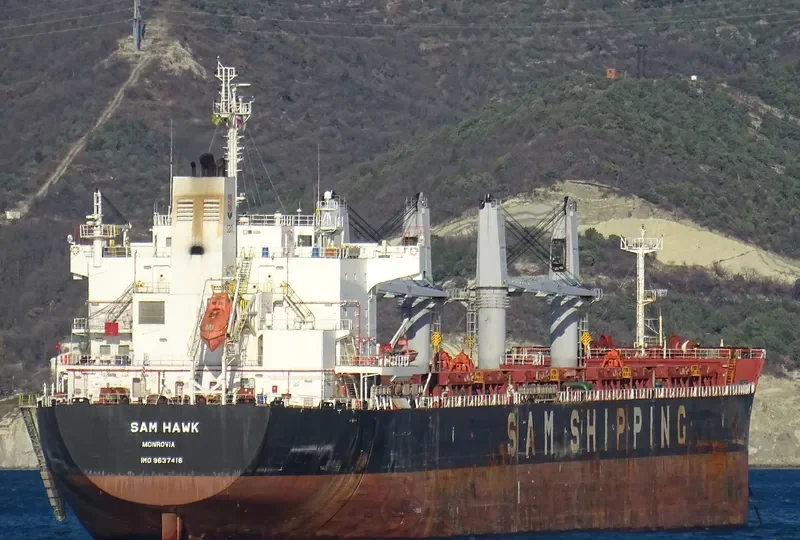 SAM HAWK Bulk Carrier IMO 9637416 photo 6