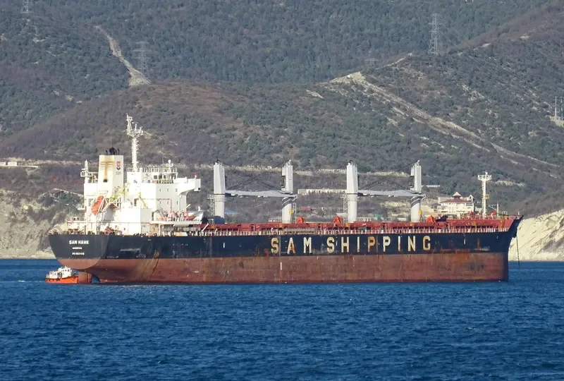 SAM HAWK Bulk Carrier IMO 9637416 photo 7