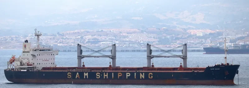SAM HAWK Bulk Carrier IMO 9637416 photo 9
