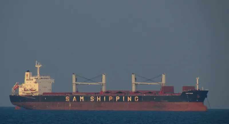 SAM HAWK Bulk Carrier IMO 9637416 photo 10