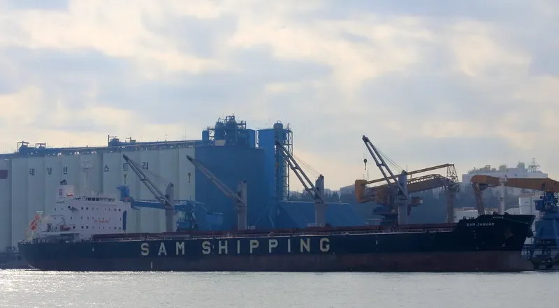 SSI DAUNTLESS Bulk Carrier IMO 9637428 photo 2