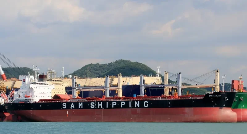 SSI DAUNTLESS Bulk Carrier IMO 9637428 photo 6