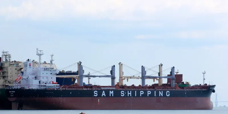 SSI DAUNTLESS Bulk Carrier IMO 9637428 photo 7