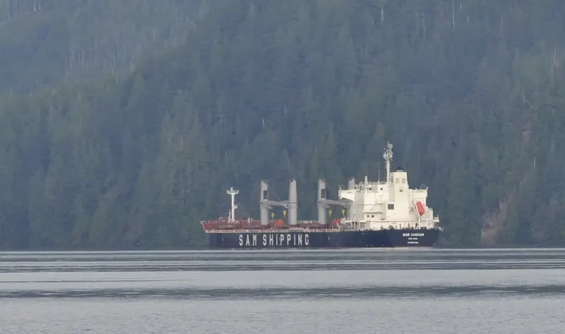 SSI DAUNTLESS Bulk Carrier IMO 9637428 photo 8