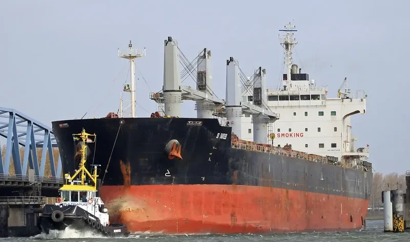 SSI DAUNTLESS Bulk Carrier IMO 9637428 photo 10