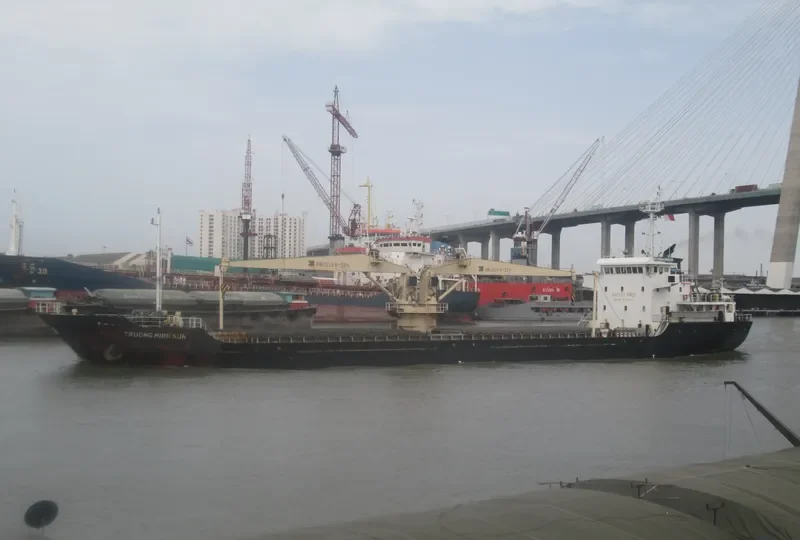 TRUONG MINH SUN Bulk Carrier IMO 9637789