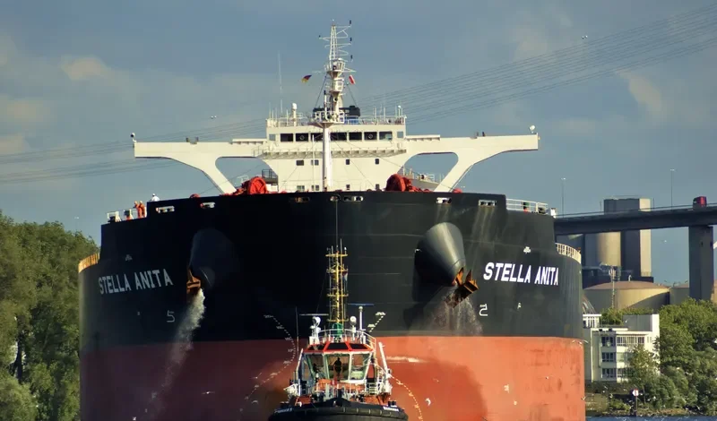 STELLA ANITA Bulk Carrier IMO 9637791 photo 5