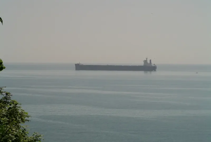 MAY OLDENDORFF Bulk Carrier IMO 9638056 photo 5