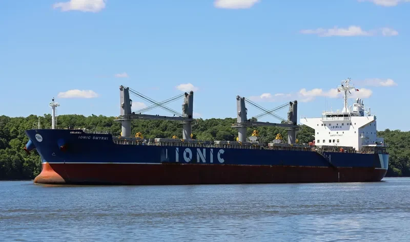 IONIC SMYRNI Bulk Carrier IMO 9638070 photo 3