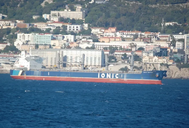 IONIC SMYRNI Bulk Carrier IMO 9638070 photo 6