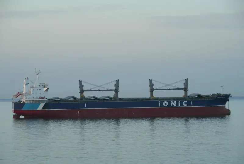IONIC SMYRNI Bulk Carrier IMO 9638070 photo 9