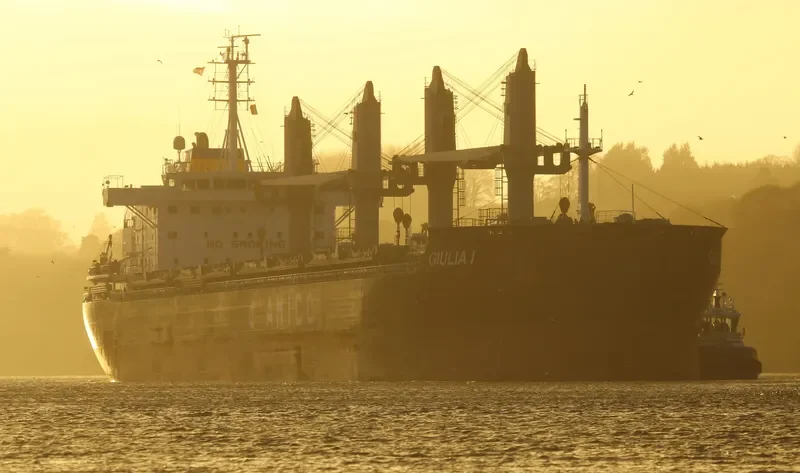 GIULIA I Bulk Carrier IMO 9638135