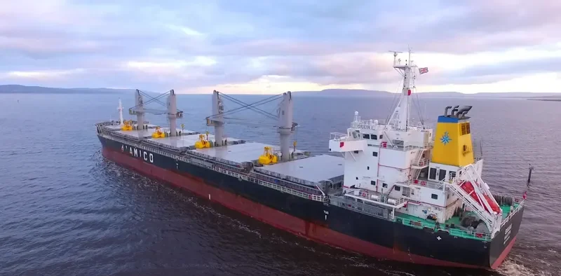 GIULIA I Bulk Carrier IMO 9638135 photo 2