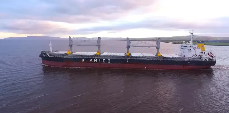 GIULIA I Bulk Carrier IMO 9638135 photo 3