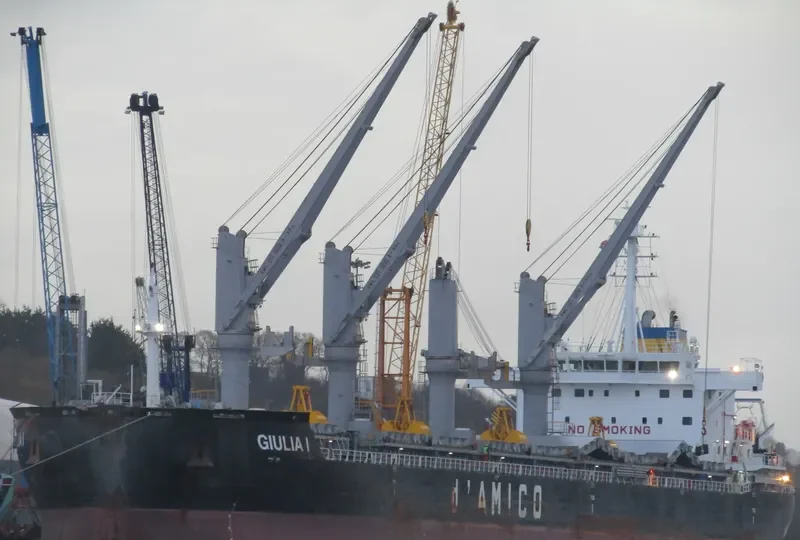 GIULIA I Bulk Carrier IMO 9638135 photo 4