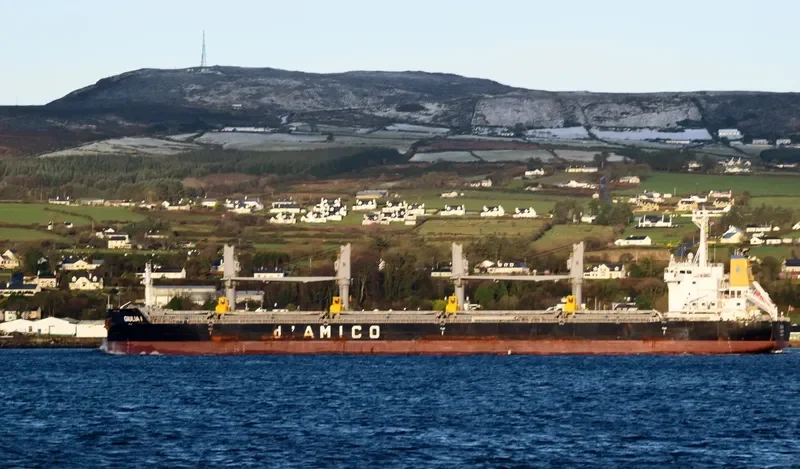 GIULIA I Bulk Carrier IMO 9638135 photo 5